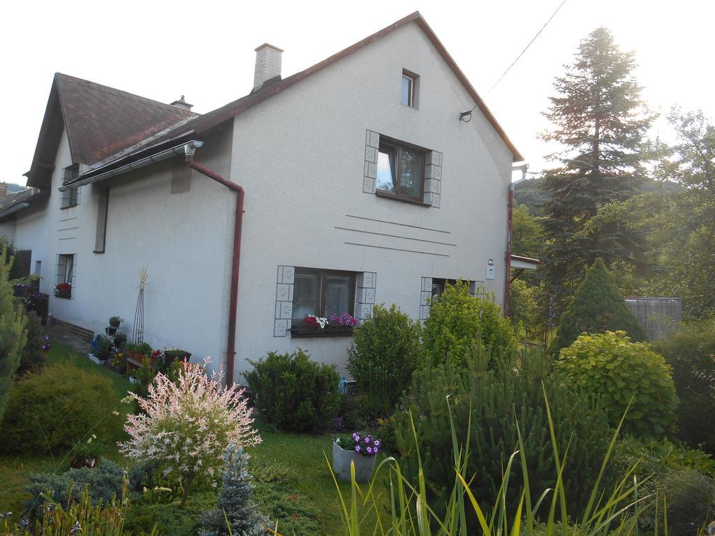 Ubytovani U Babicky Velké Losiny Extérieur photo